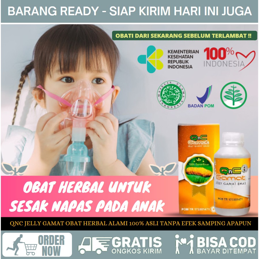 Obat Herbal Sesak Napas Pada Anak Asma Nyeri Dada Batuk Sesak Napas Pada Anak Qnc Jelly Gamat Shopee Indonesia