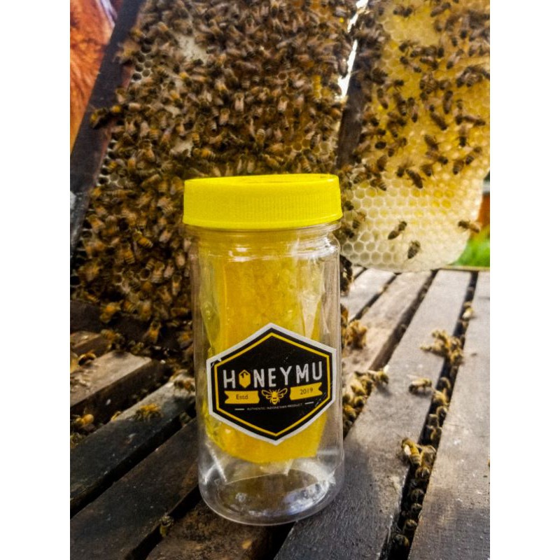 

SGS Sarang Madu Asli Madu Sarang Murni 100gr