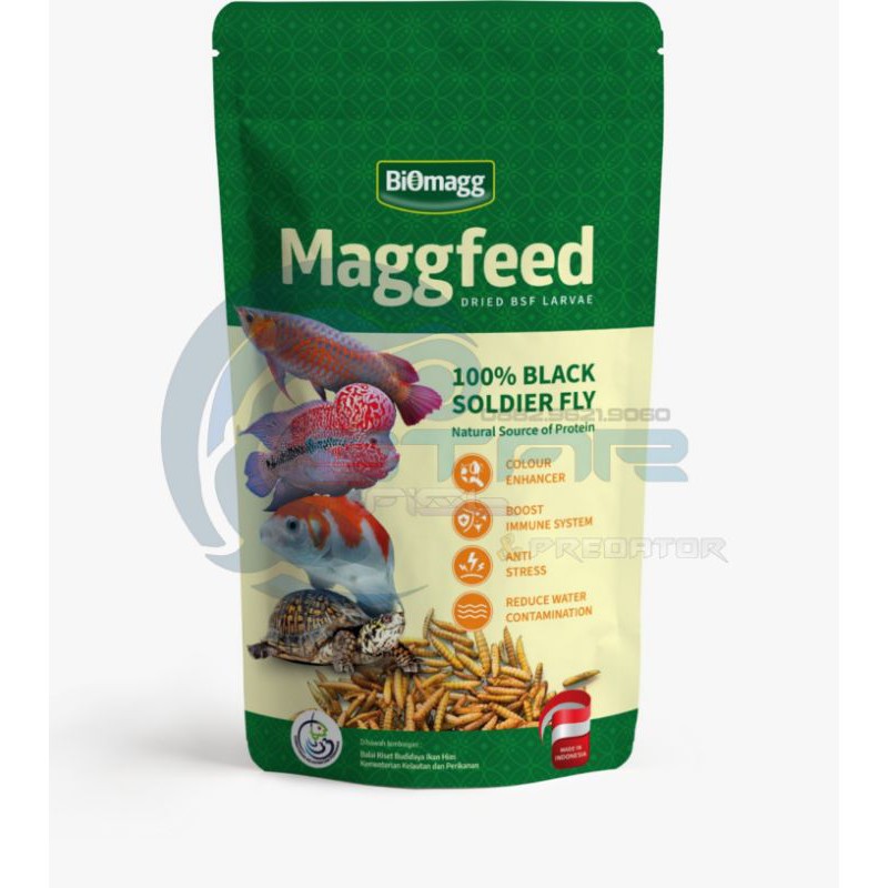 Magfeed Makanan Pakan Suplemen Ikan Arwana Koi Louhan Predator Maggot Larva Kering
