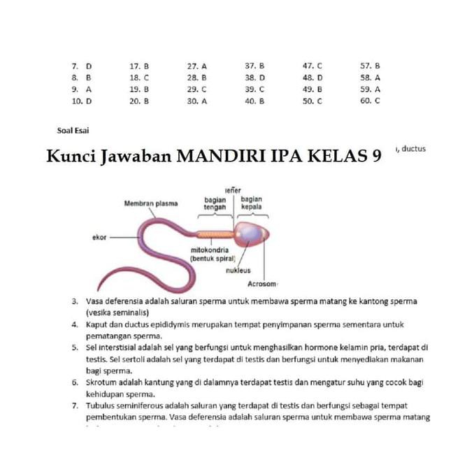Buku Mandiri Ipa Smp Kelas 9 Ix K13 Soal Jawaban Kurtilas Shopee Indonesia