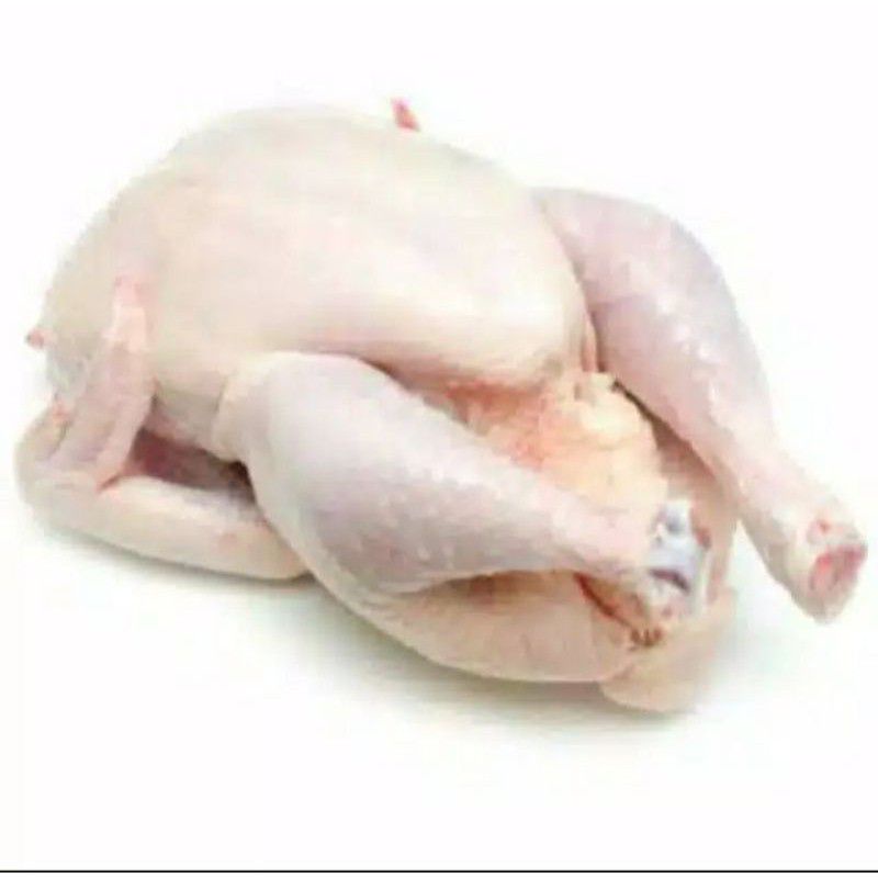 

AYAM BROILER UKURAN 800 -900 GR FROZEN