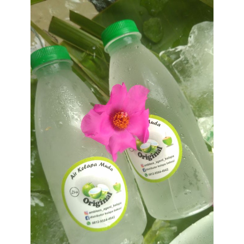 

Air Kelapa Muda Fress 350 ML