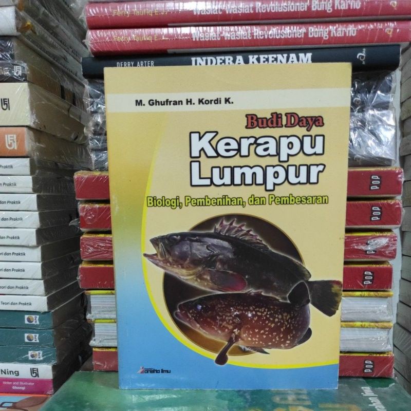 BUKU ORIGINAL BUDI DAYA KERAPU LUMPUR