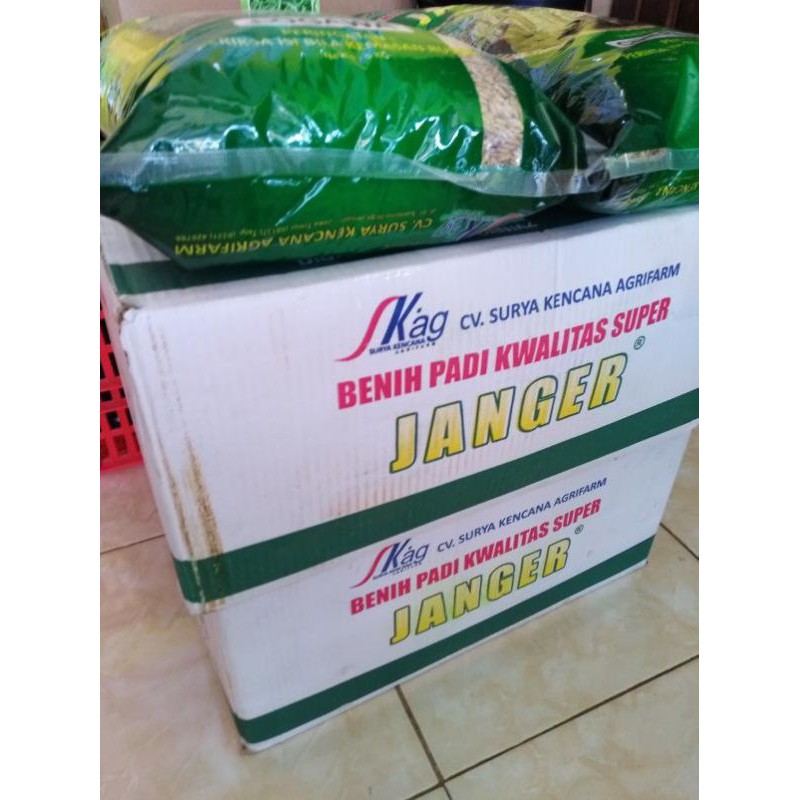 Benih padi logawa jangger