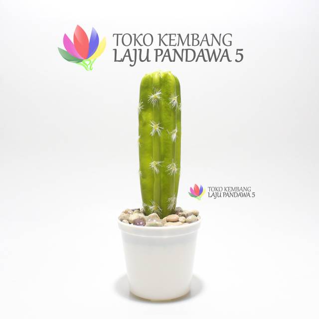 Kaktus imitasi/kaktus latex/kaktus palsu/dekorasi/tanaman artifisial/tanaman unik/pajangan