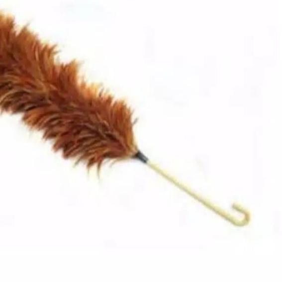 ۞ Kemoceng bulu ayam/ Rrt ✦