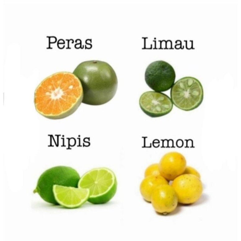 

JERUK NIPIS/PERAS/LIMAU/LEMON LOKAL SUPER