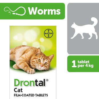 DRONTAL CAT