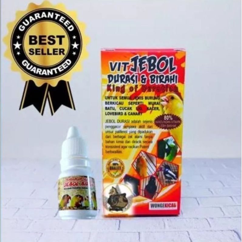 vit jebol durasi birahi vitamin hormon doping burung lovebird king of duration