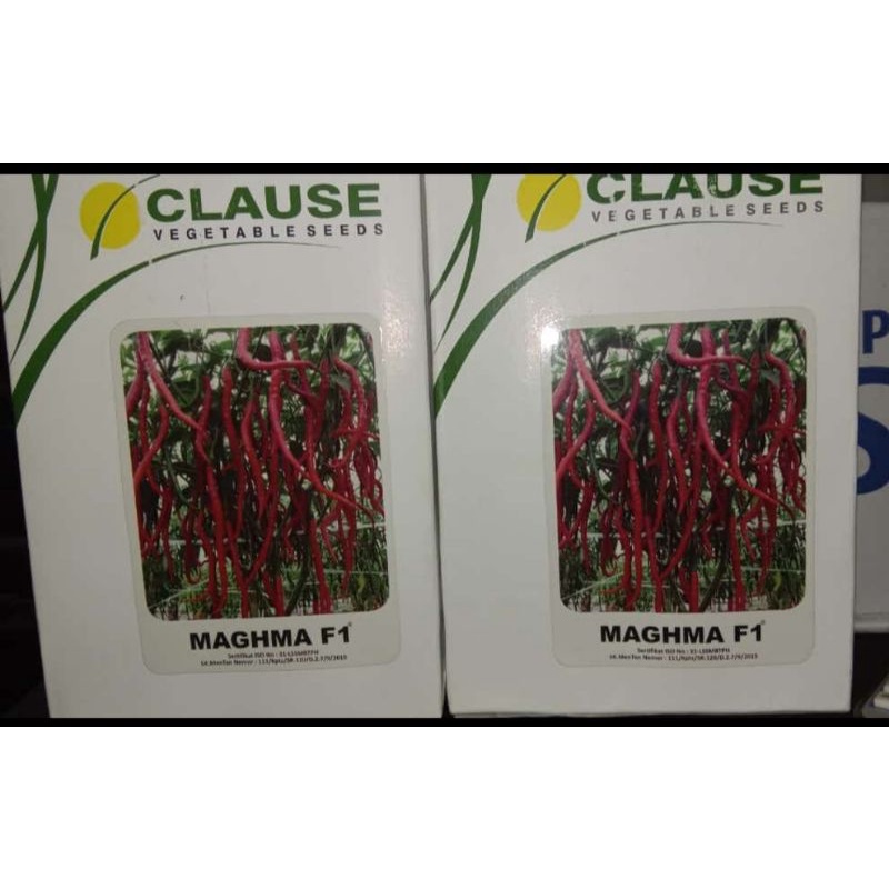 Benih Cabai Clause Maghma F1