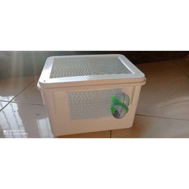 Box lolohan burung Reptil Ular kecil Hamster dan Gerbil-1