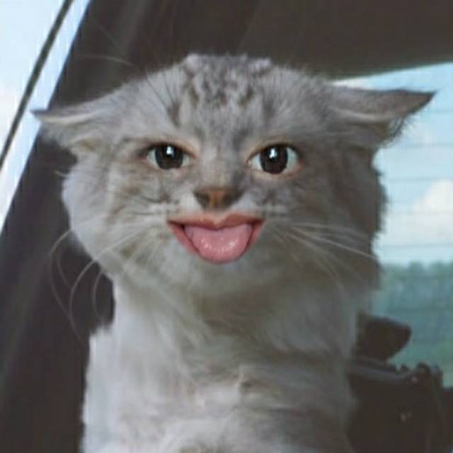 yuliayahya20