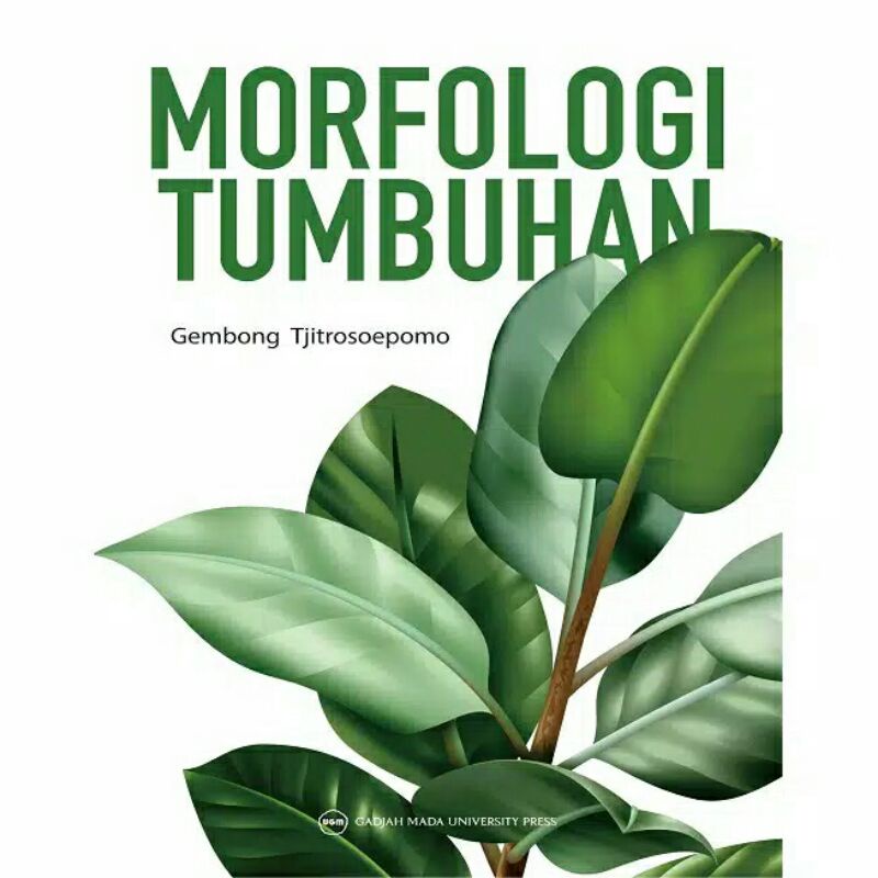 

morfologi tumbuhan UGM