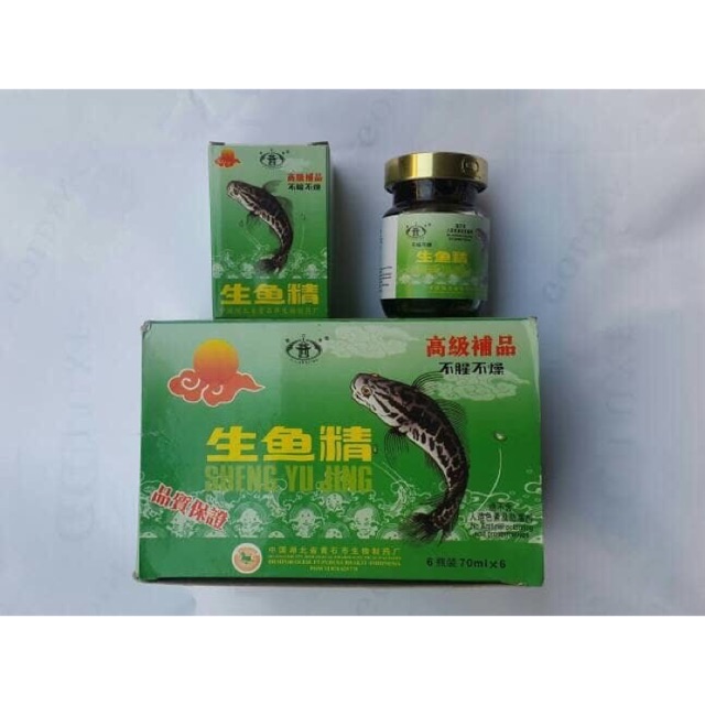 

Sheng yu jing essence of fish/saripati ikan haruan gabus kutuk