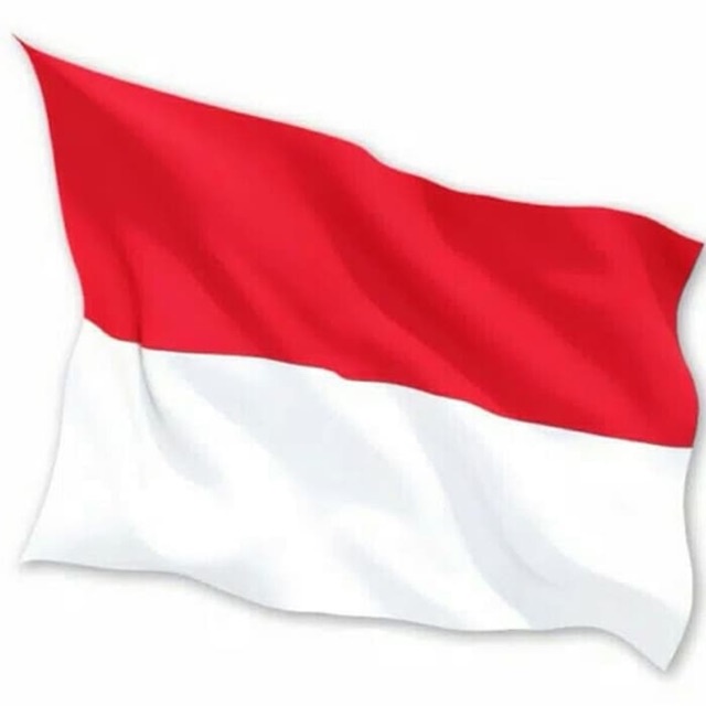 BENDERA MERAH PUTIH Termurah Berbagai Ukuran Bendera Kain RI Indonesiaa