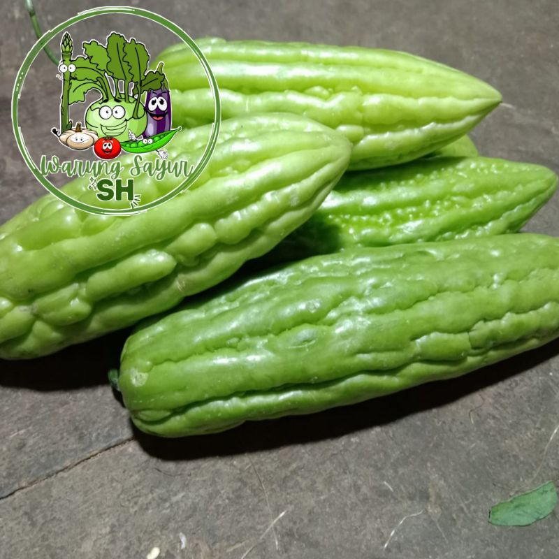 

Pare 500 gram | Sayur pare 500 gram | Paria 500 gram | Fresh Vagetable