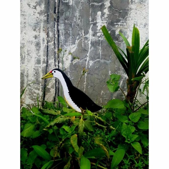 530+ Sketsa Gambar Burung Ruak Ruak HD Terbaik