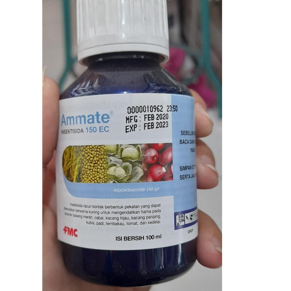 Barang Pilihan.. Insektisida Dupont AMMATE 150 EC 100 ml