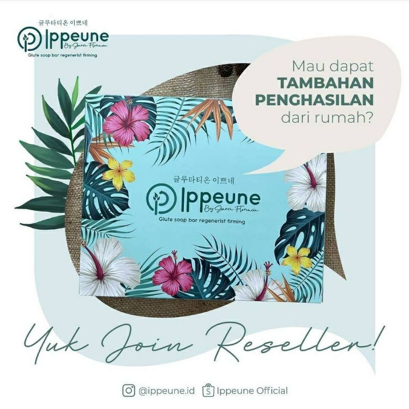 PAKET RESELLER IPPEUNE (4BOX)