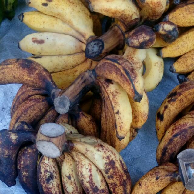 

PISANG RAJA CERAI DI JUAL PERSISIR