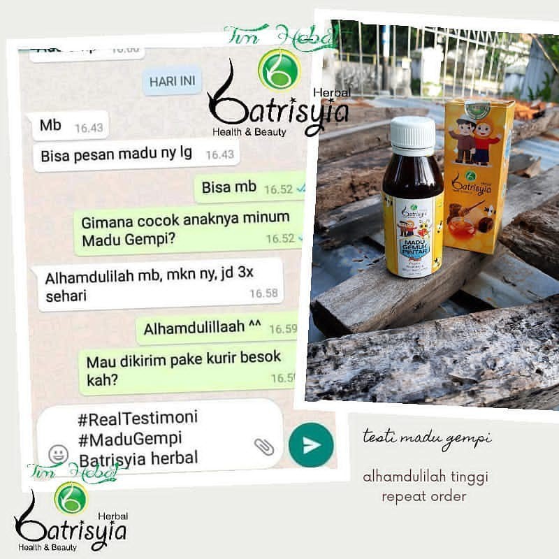 Batrisyia Vitamin Penggemuk Badan Anak / Madu Gempi / Madu Pintar Anak