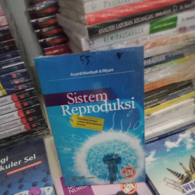 Sistem reproduksi by aryanti