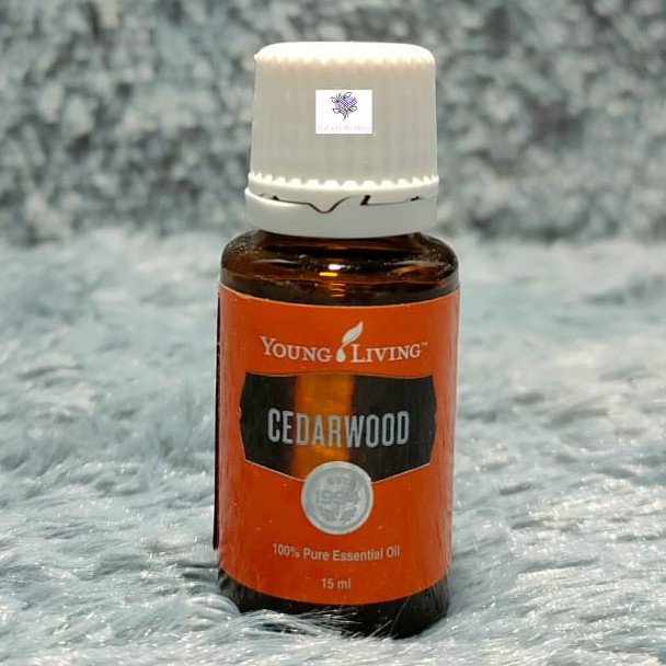 YL YLEO Essential Oil Cedarwood 15ml