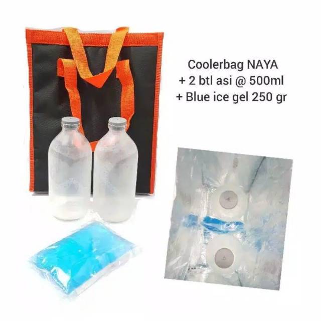 Cooler Bag Naya Medium / Thermal Bag Naya Medium free 2 btl asi 500 ml + 1 blue gel 250 gr / TAS BEKAL / LUNCH BAG FOIL