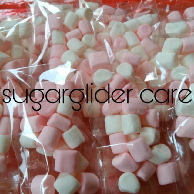 Marshmallow sugar glider/makanan sugar glider