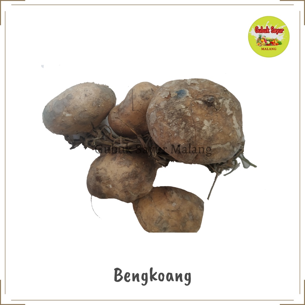 

Buah Bengkoang Fresh 500 gram