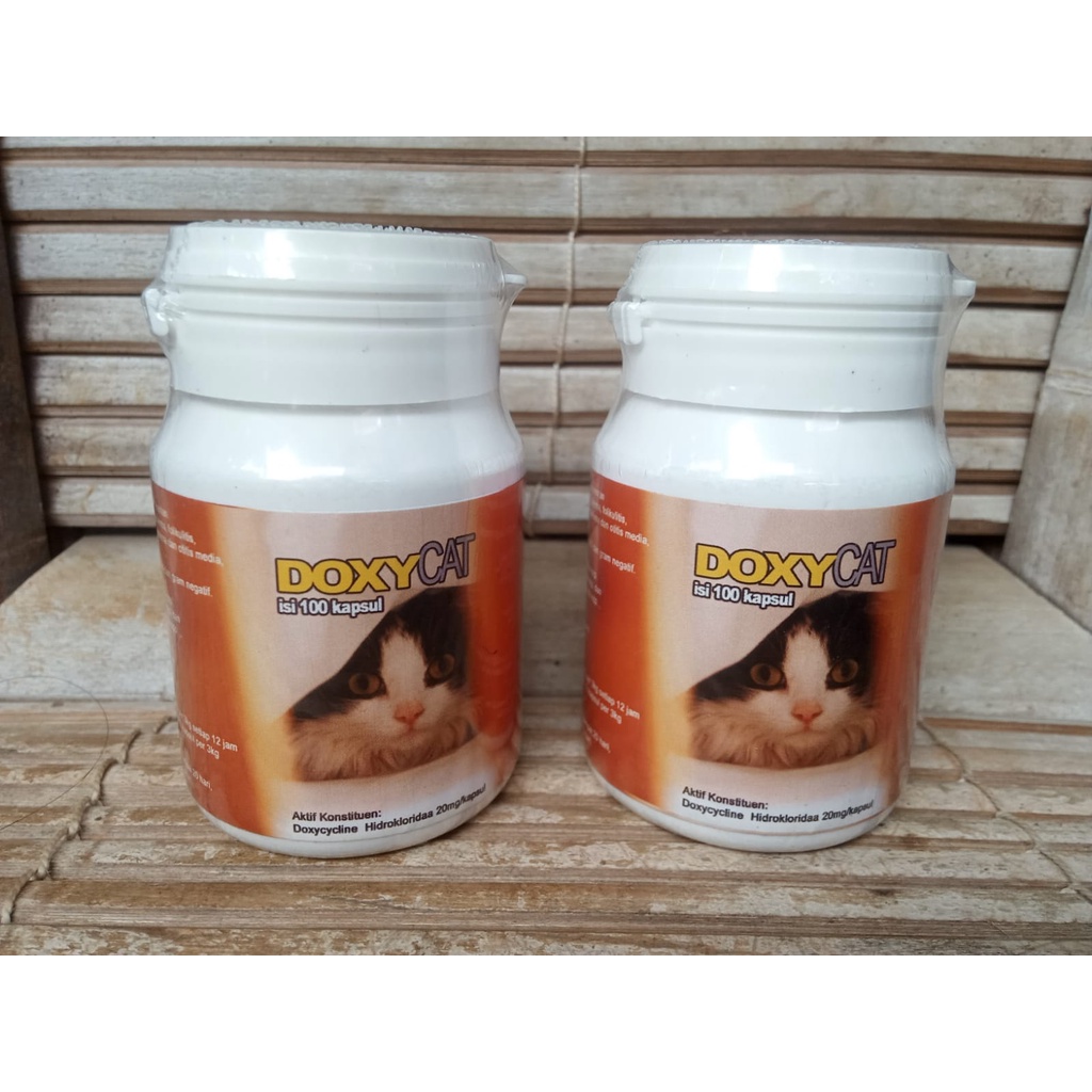 Doxy Cat Im Organic 1botol isi 100kapsul Obat Flu Kucing