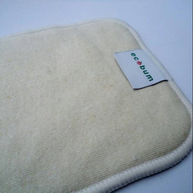 Ecobum Insert Reguler Hemp