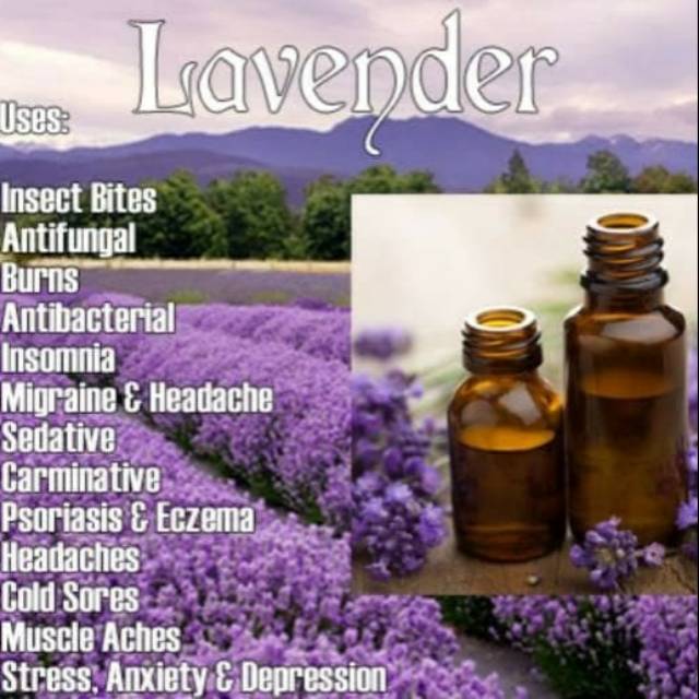 Lavender Essential Oil 5ml - Minyak Essential Oil Murni
