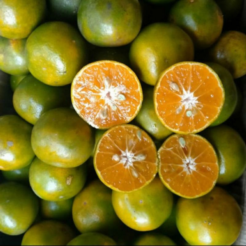 

[PROMO] Paket Jeruk Peras 3KG (REGULER & KARGO)