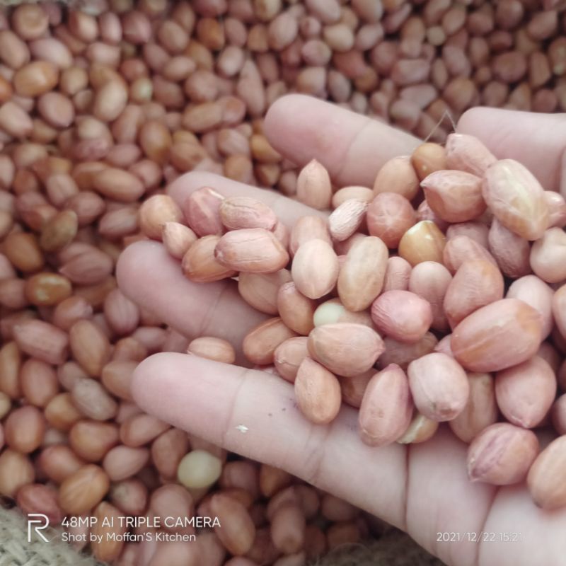 

kacang tanah / ketan putih thailand / wijen / kacang hijau