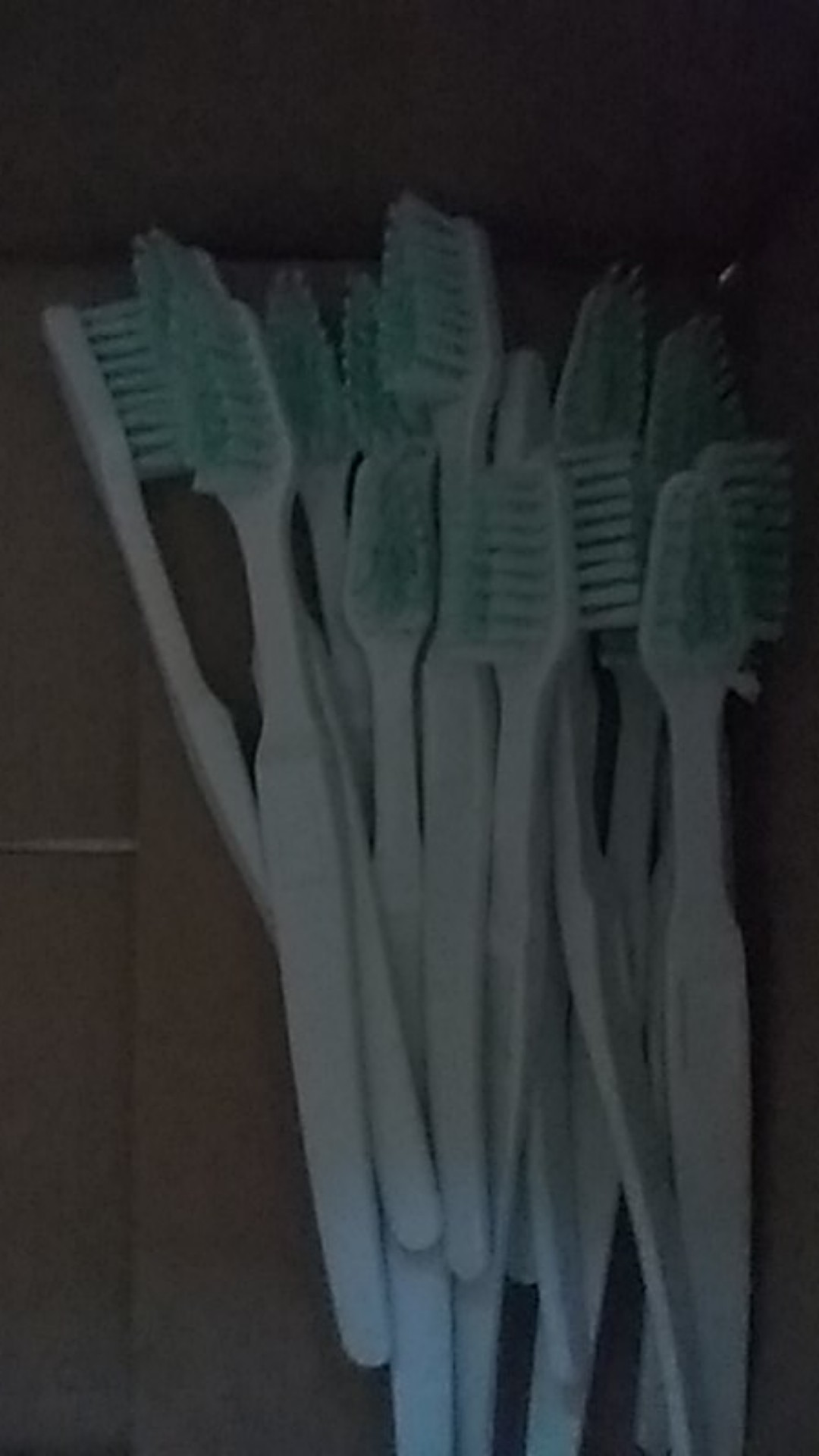 Sikat Gigi Hotel Bulu Halus / Super Termurah