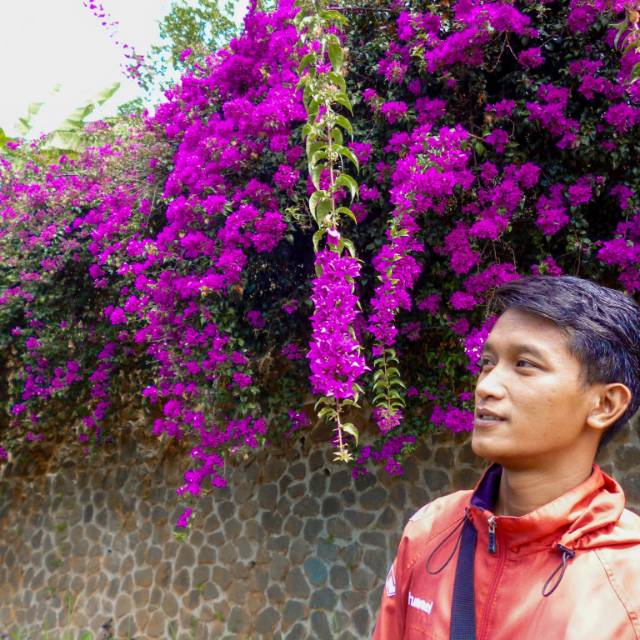 yolandayunipratiwi03