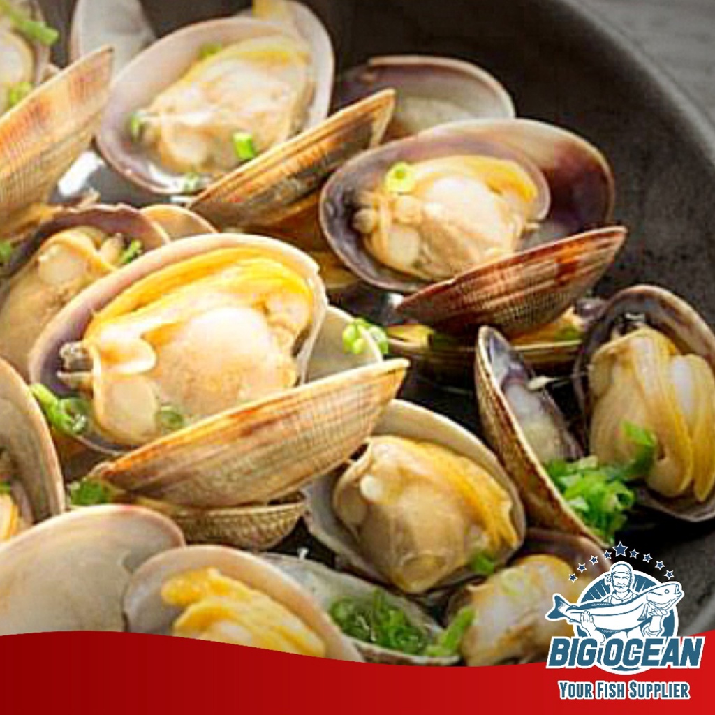 

Kerang Tahu/Kepah Segar Frozen @500gr