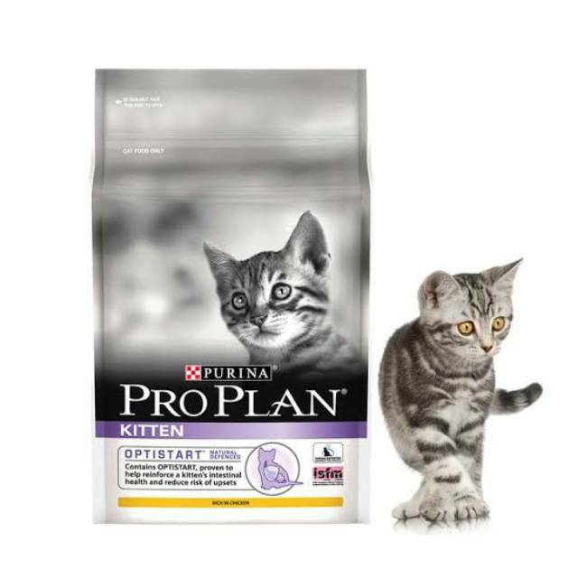 Proplan kitten 7kg