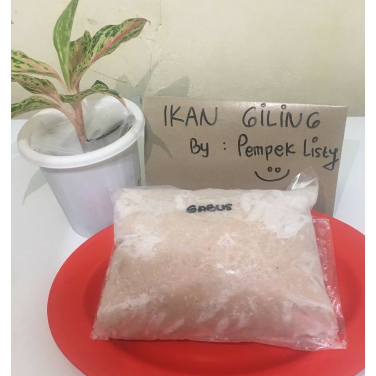 

IKAN GABUS SUNGAI GILING (1Kg)