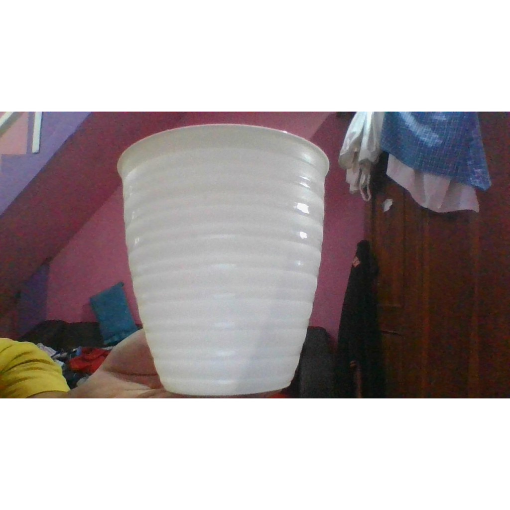 POT BUNGA MADU TINGGI 12 PUTIH