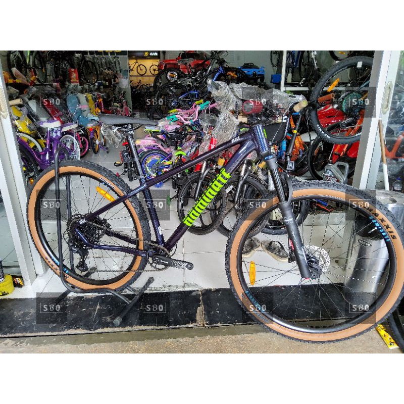 Dominate AXC 2 Comp R