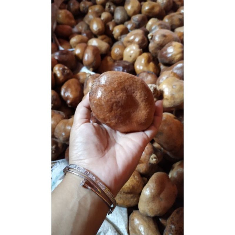 

Buah Zuriat Ecer