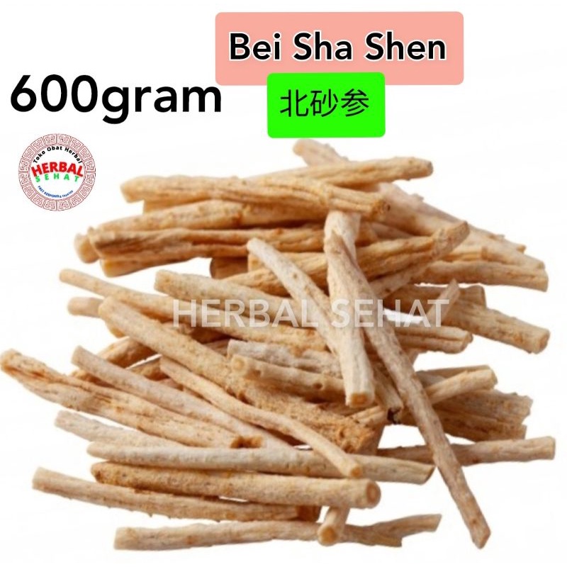 

600gram Bei Sha Shen Sa Sem Radix Glehniae Littoralis