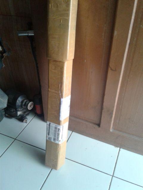 New Produck!! Pohon Kurma Azwa Jantan Dan Betina - Kl 1