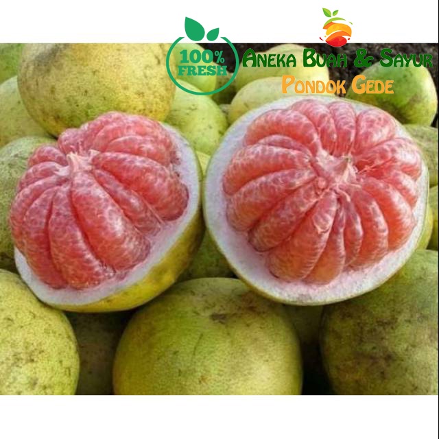 

Jeruk Bali Merah Segar 1pcs