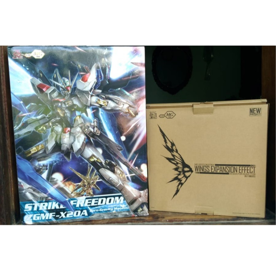 MG STRIKE FREEDOM MB Ver (Dragon Momoko)