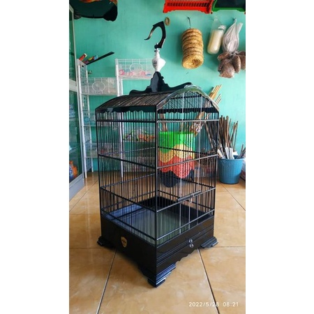 sangkar kosan kwk hitam
