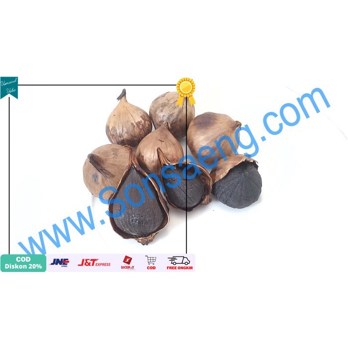 

❤COD❤ Solo Black Garlic / Bawang Hitam Tunggal / Bawang Hitam Lanang