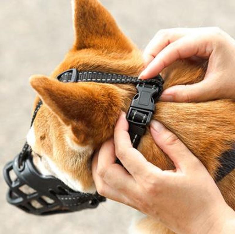 Masker Penutup Mulut Anjing Anti Gigit Ukuran Kecil Dan Medium Besar